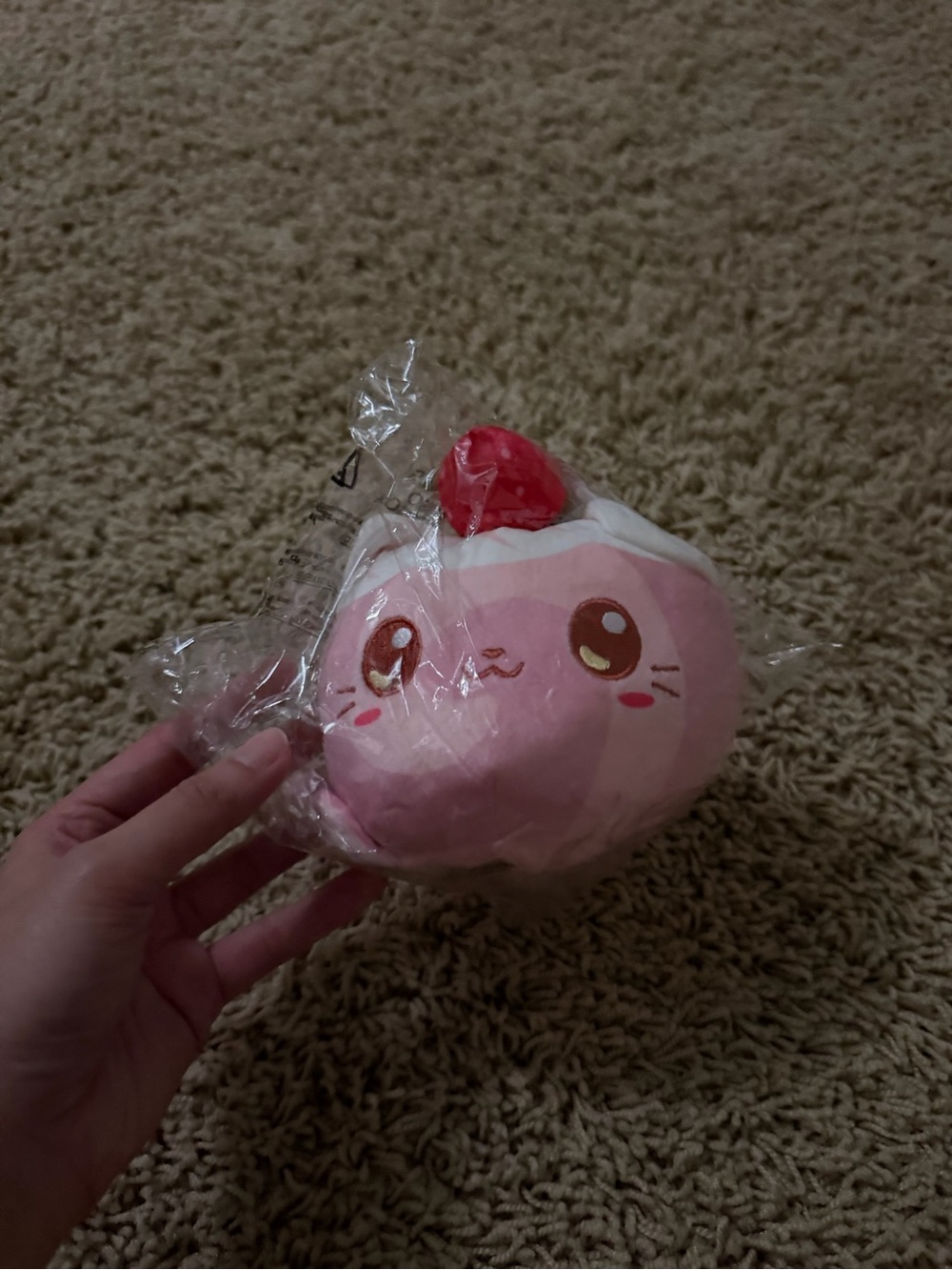 tee turtle pink cat plushie